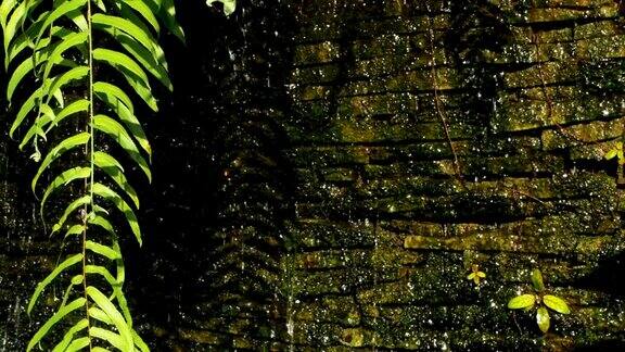 瀑布与绿色植物装饰在前面的背景