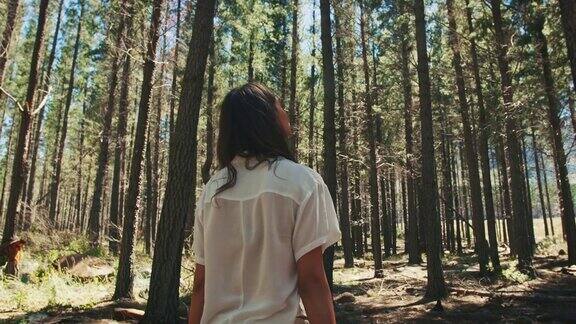 穿过森林的女人