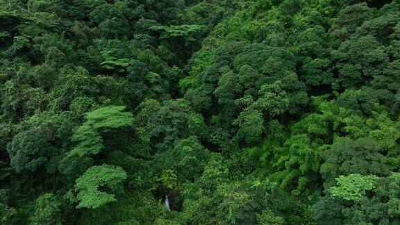 空中拍摄的美丽的热带森林山地景观
