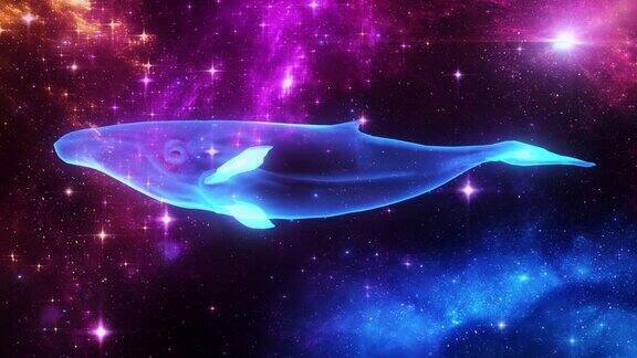 宇宙鲸在一个多彩的外太空-循环抽象背景
