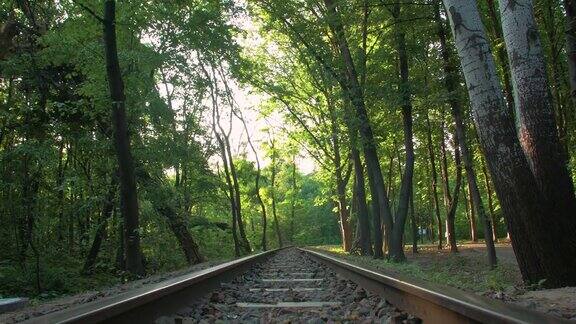 森林中的火车铁路