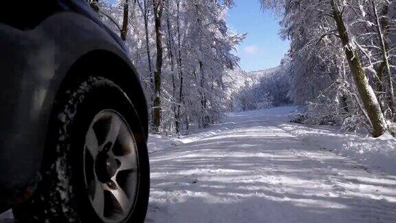 在白雪皑皑的冬日森林里开车