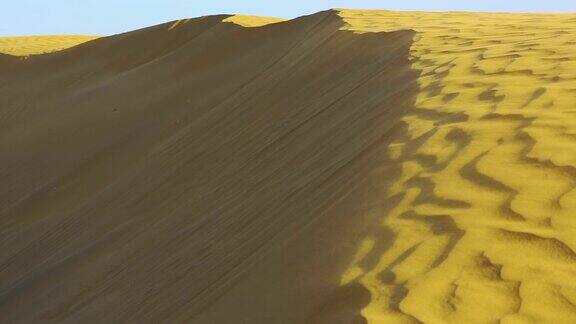 塔尔沙漠的沙丘
