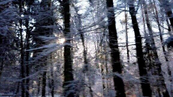 从车窗看白雪覆盖的冬季森林