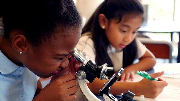 小学STEM学校的女孩们一起从事科学项目
