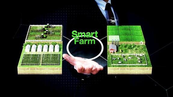 商人打开手掌“智能农场”技术动画