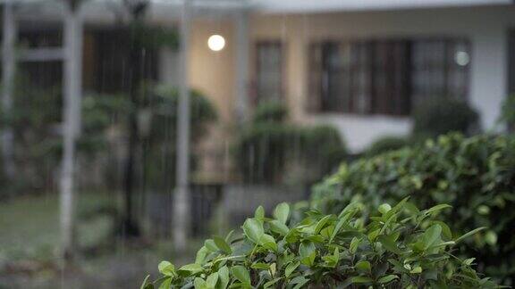 4K雨天与模糊的房子在背景泰国清迈