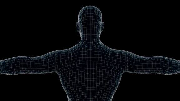 一个人的三维动画x射线全息图