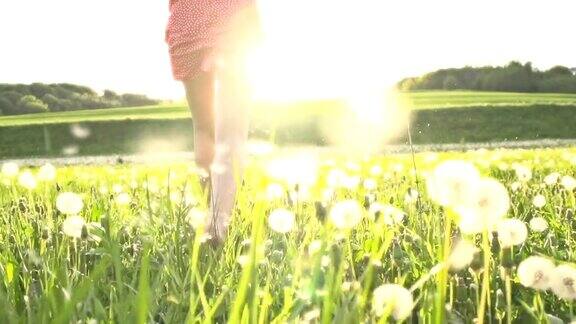 《超慢莫:向着太阳奔跑的女人》