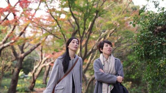 日本女性朋友在秋天徒步旅行