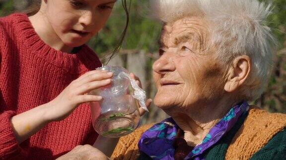 老年妇女和儿童与昆虫玩耍家庭时间