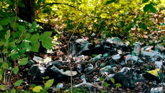 塑料和垃圾对环境的污染垃圾污染加剧垃圾被倾倒在空地或森林里