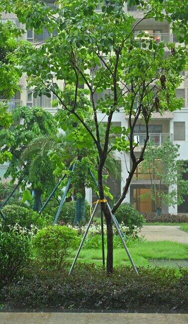 花园公寓社区在一个下雨天视频与声音在垂直组成