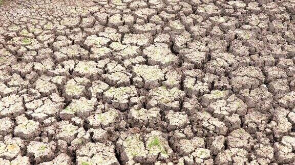在气候变化、干旱灾害、全球变暖期间拍摄的干燥龟裂的土地