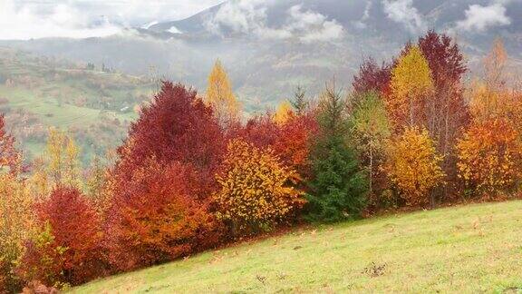 时间流逝奇妙的彩色山景与云乌克兰喀尔巴阡山