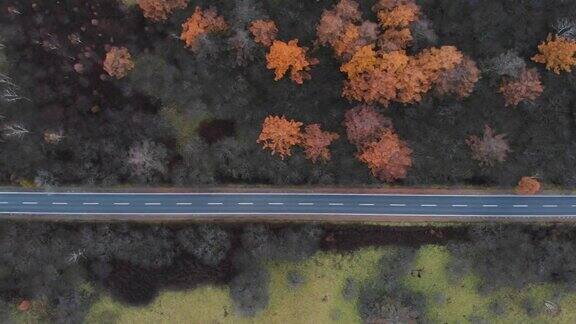 鸟瞰图与摄影车左侧的风景路线在秋天日光日本