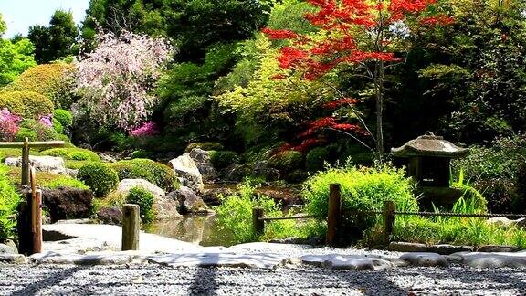 日本京都的樱花花园