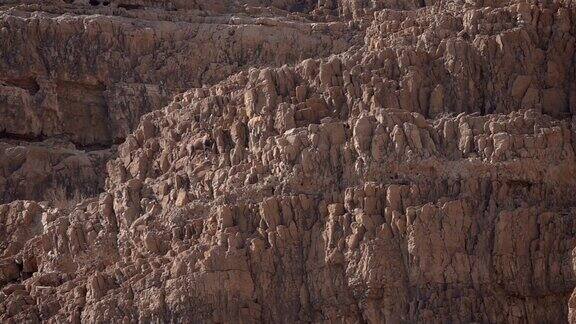 沙漠中攀登悬崖的野山羊