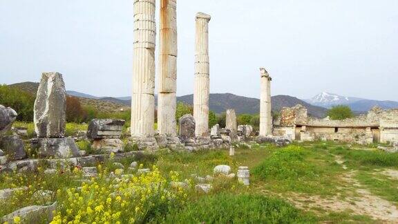 阿耳忒弥斯神庙附近的阿佛洛狄西斯古城的四塔龙