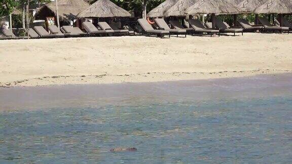 温暖的海浪在热带度假胜地的沙滩上奔跑带着雨伞和躺椅
