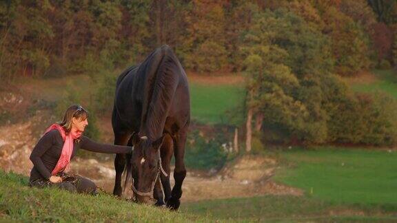 慢镜头:爱的年轻女子抚摸着她美丽的种马在牧场上吃草
