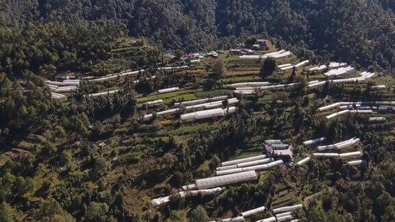 鸟瞰美丽的山和苗圃在Chail喜马偕尔邦印度