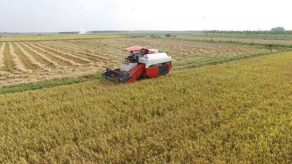 在越南田野的联合收割机上收割水稻