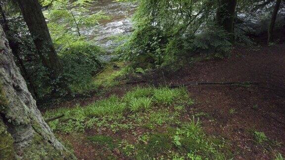 苏格兰乡村湍急的河流