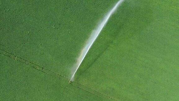 喷灌机灌溉耕地俯视图航拍