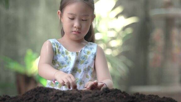亚洲小女孩在菜园里种了一棵新树