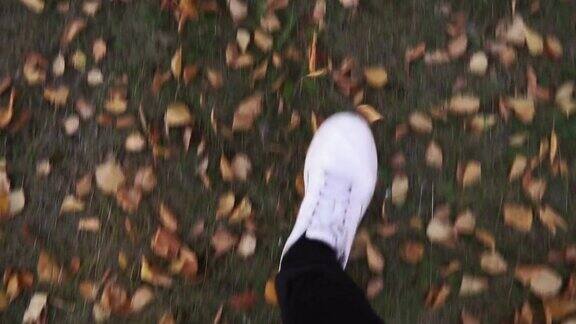 秋天绿草上黄叶子白色的运动鞋在草地上行走