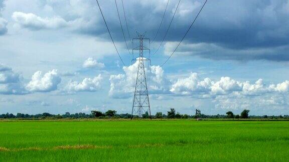 农场里的绿色水稻和电力塔的时间流逝