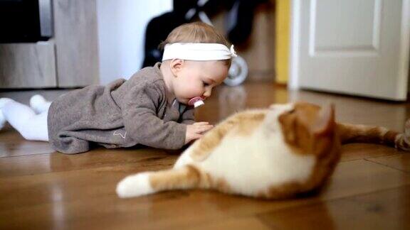 可爱的小女孩在和猫玩