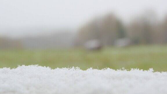 第一场雪落在田野和森林里