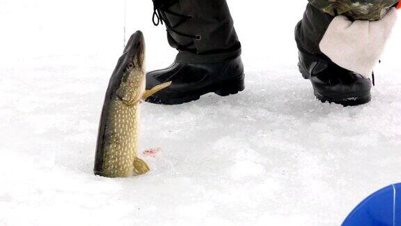 在结冰的湖面上钓鱼