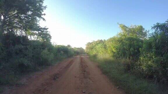 马达加斯加泥泞的道路