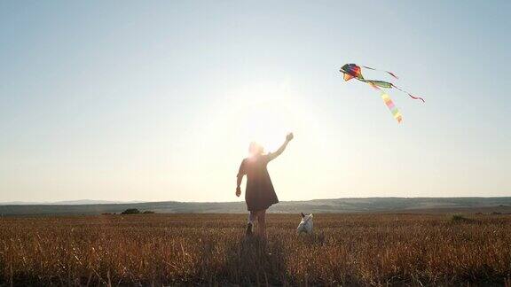 剪影年轻女子走在田野发展卷毛狗品种杰克罗素梗在风与风筝朝着太阳在夏季日落慢动作放松镜头光晕自由