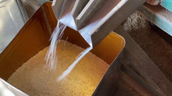 生大米生产