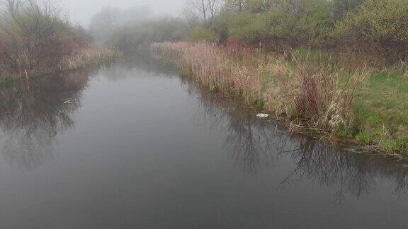 在一个有雾的日子里飞过池塘