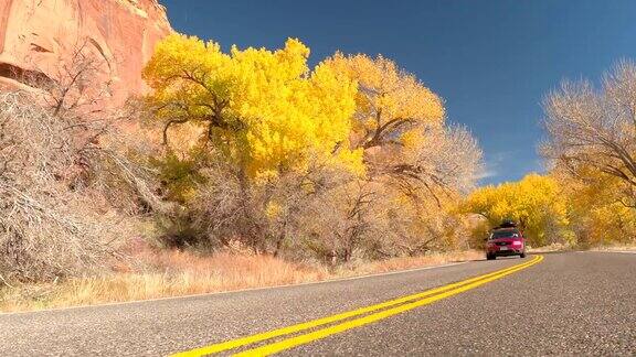 一辆汽车在道路上行驶经过秋天黄色的树木