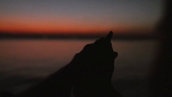 手在夕阳的天空下跳舞海景