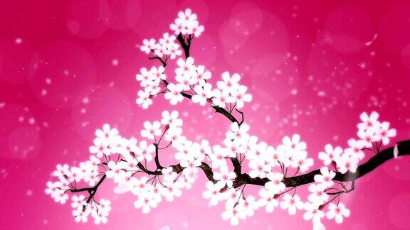 樱花盛开的树樱花盛开的动画