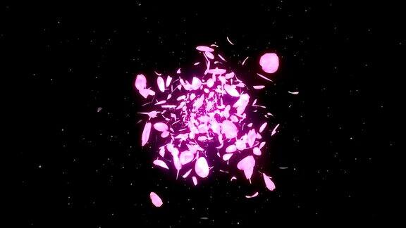 樱花花瓣落在黑色背景循环闪烁动画
