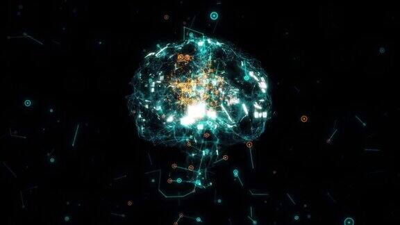 神经元和受体脑模型