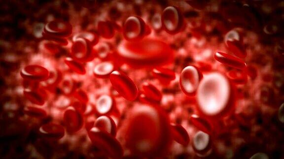 动脉中的红细胞红细胞在血液中流动