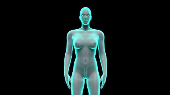 女性人体扫描淋巴系统蓝色的x射线