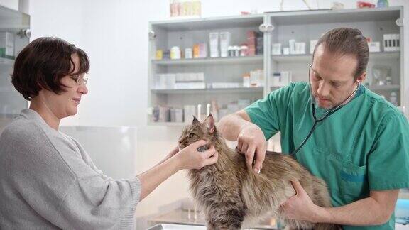男兽医听着猫的心脏和肺它的主人让它平静地躺在检查台上