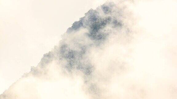 雾中的山