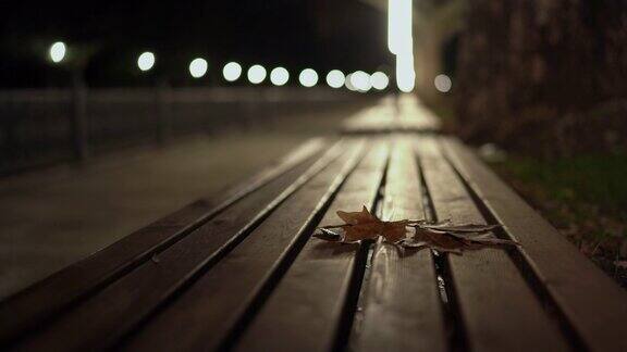 城市河堤上的灯笼照亮了夜晚的秋天落叶落在长凳上
