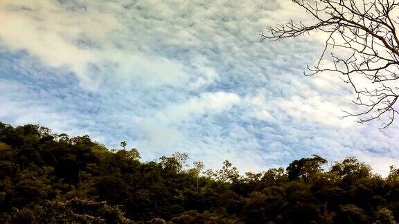 高山森林上空的天空和云